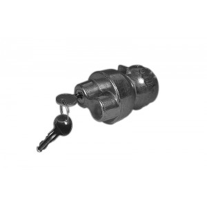 Caravan anti-theft device