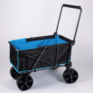 Beach buggy with wide detachable tires and pannier